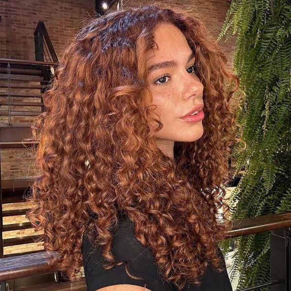 WoWEbony Indian Remy or Peruvian Virgin Human Hair Brown Curly Full Lace Wigs FW45