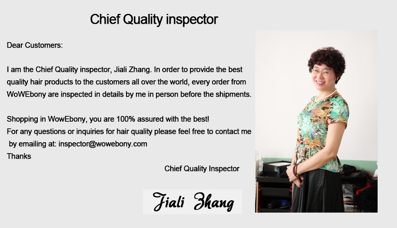 Chief Quality Control Inspector